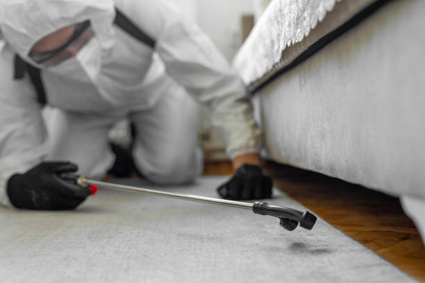Professional Termite Control technician working in Curwensville, PA