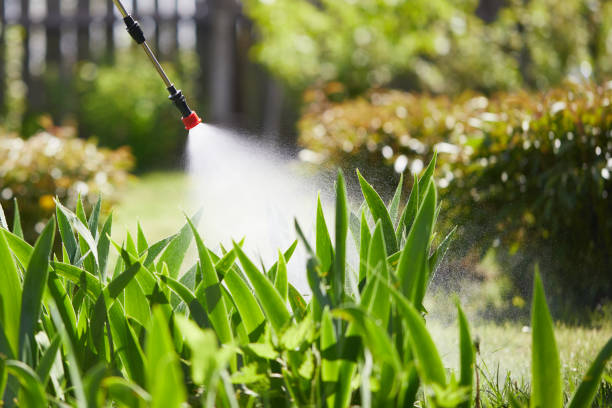 24/7 Emergency Termite Control experts in Curwensville, PA