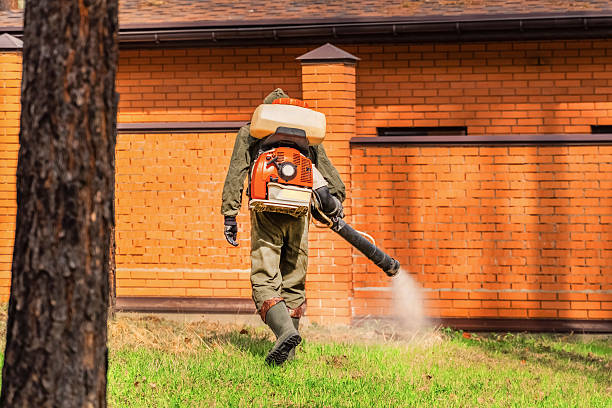 Trusted Termite Control service in Curwensville, PA - Nex Pest Control